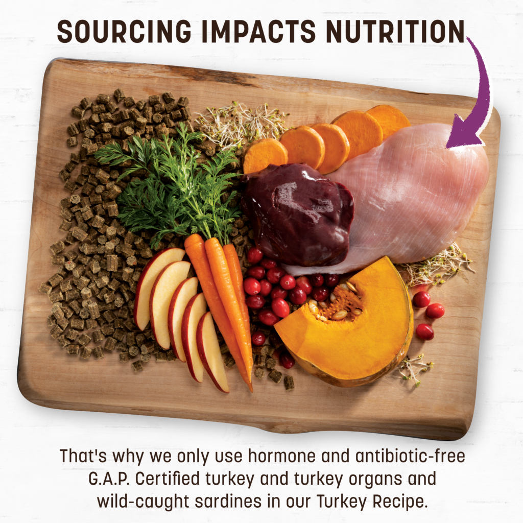 Earth Animal Wisdom Air-Dried Turkey Recipe Premium Natural Dog Food