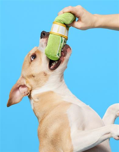 Doggo Doggo Bills, Y’all Dog Toy