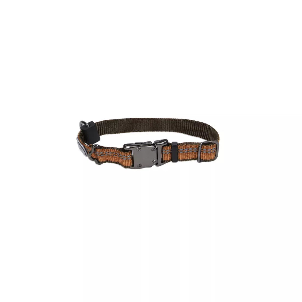 Coastal K9 Explorer Reflective Dog Collar