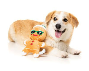 FuzzYard Dog Toy Jolly Gingergal