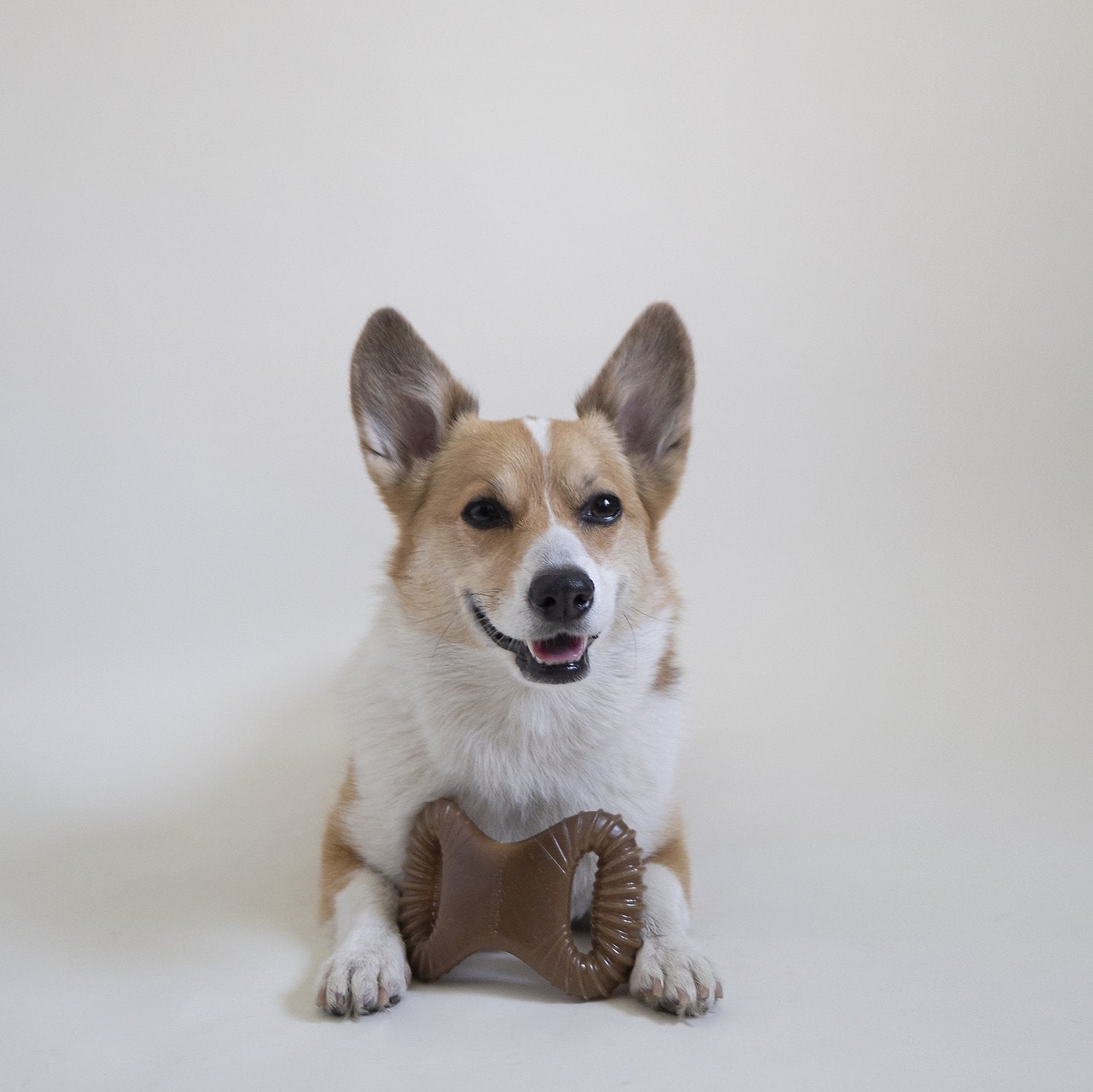 Benebone Flavored Dental Tough Dog Chew Toy