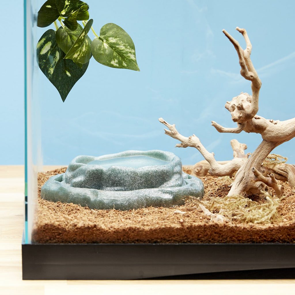 Zoo Med Repti Rock Reptile Rock Food & Water Dishes