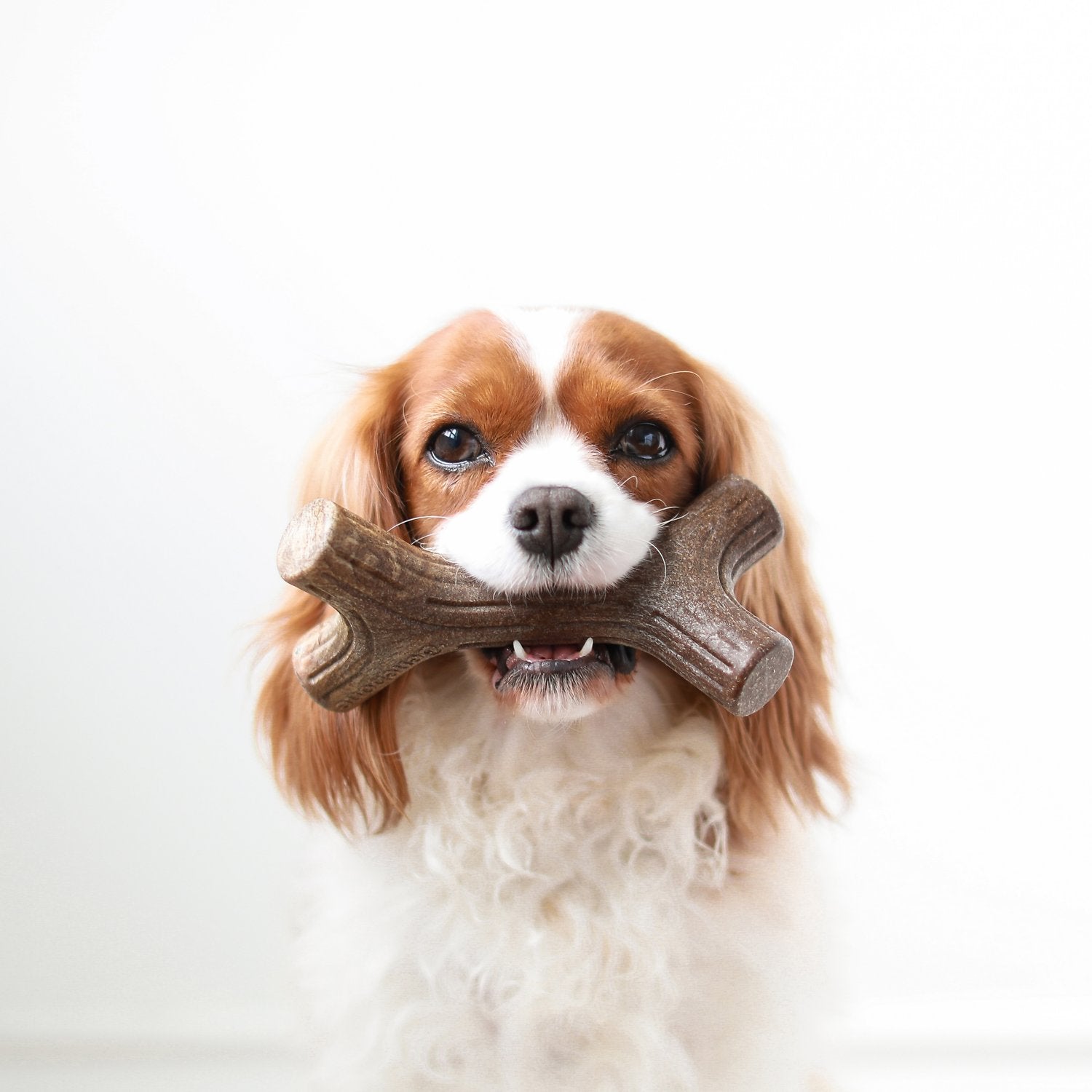 Benebone Flavored Stick Tough Dog Chew Toy