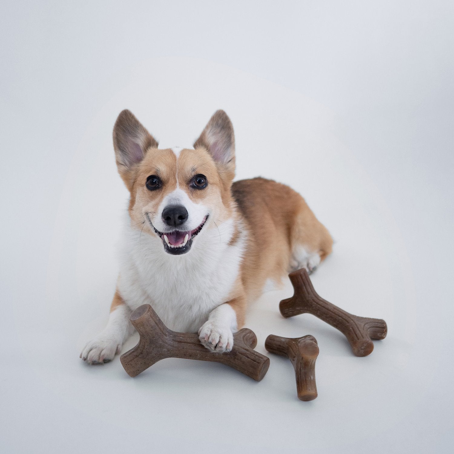 Benebone Flavored Stick Tough Dog Chew Toy