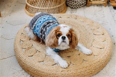 Chilly Dog -LIGHT BLUE FAIRISLE DOG SWEATER