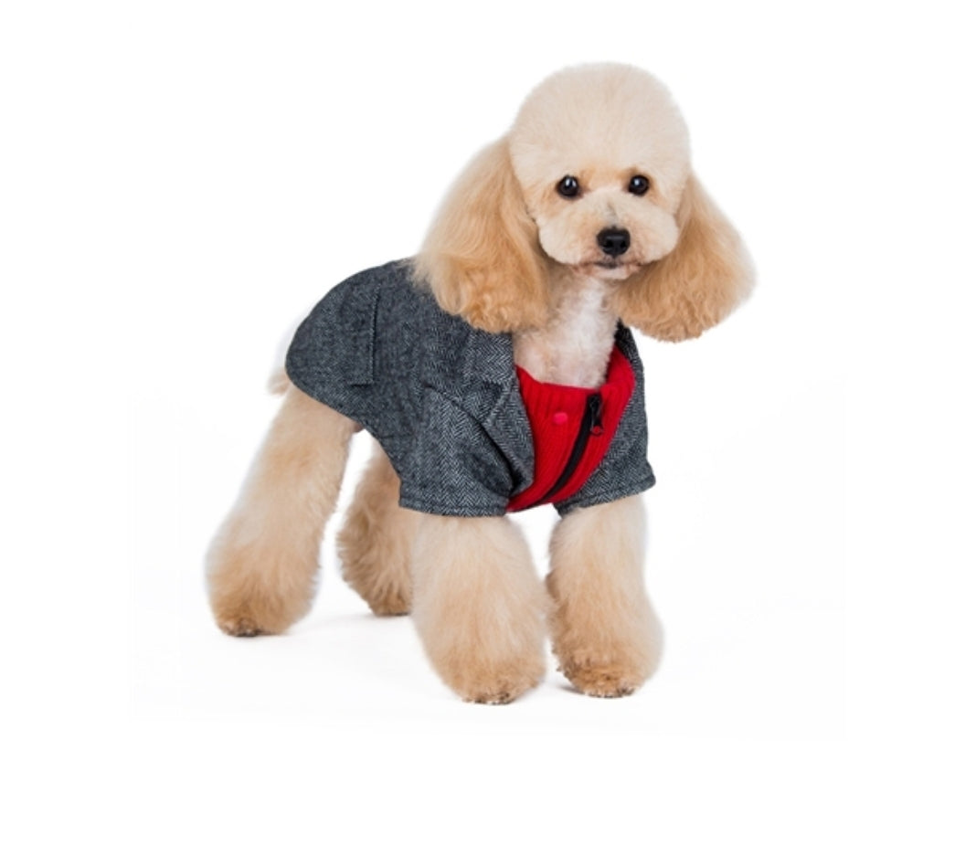 Tweed Blazer Grey/Red Dog Sweater