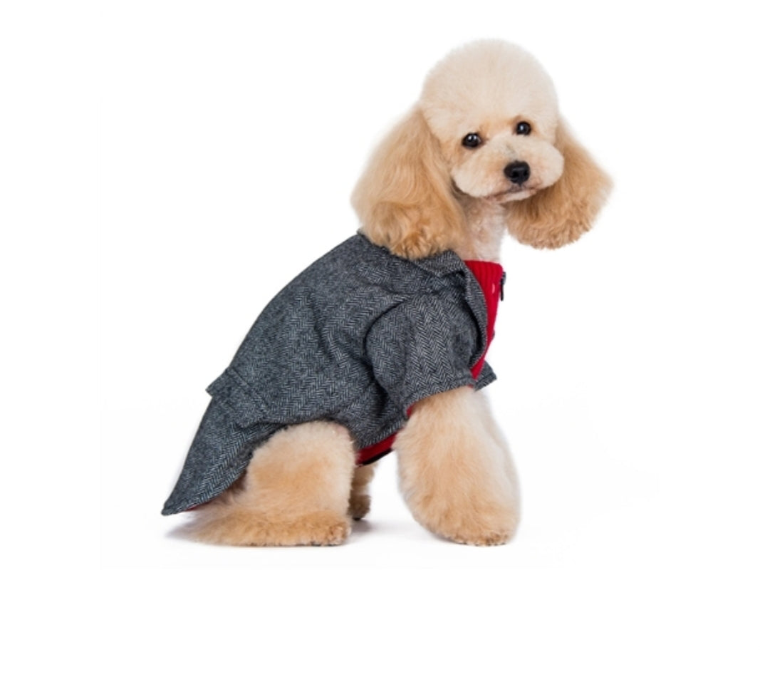 Tweed Blazer Grey/Red Dog Sweater