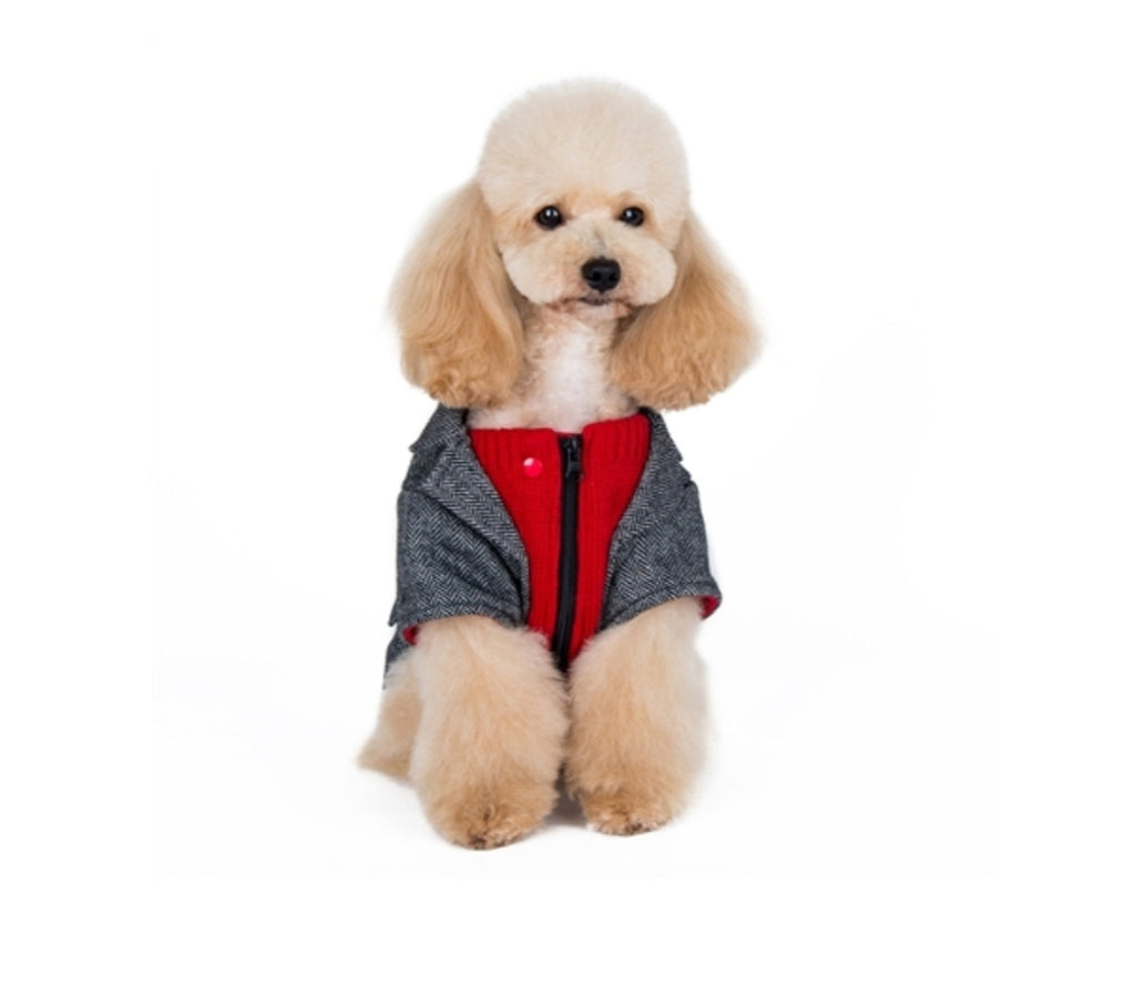 Tweed Blazer Grey/Red Dog Sweater