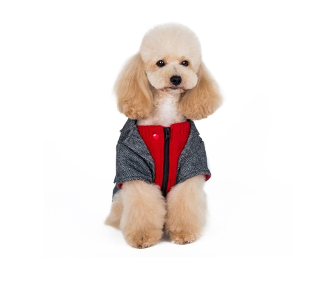 Tweed Blazer Grey/Red Dog Sweater