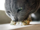 Meowijuana Catnip Buds