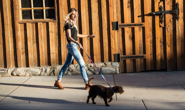 Wolfgang Day Dream Leash 6'