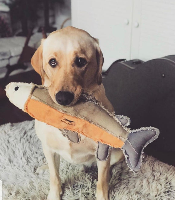 Tall Tails - Canvas Fish With Squeaker