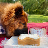 Puppy Cake Dog Birthday Cake Kit- Pumpkin Cake Mix, Icing Mix, and One Candle
