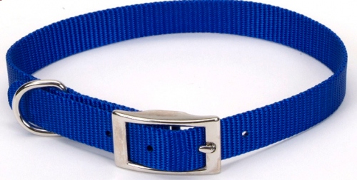 Coastal Pet Products Standard Nylon Small and Medium Dog Collar – Pet  Empire and Supplies