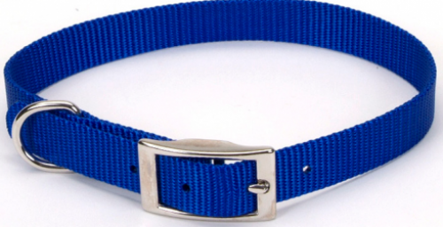 4Paws Empire  Dog collars, leashes, harnesses, accessories and essentials