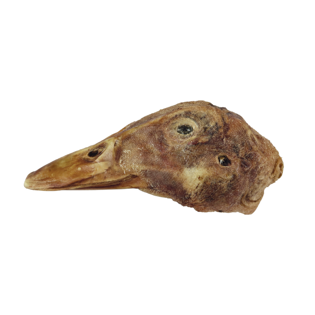 Vital Essentials Single Freeze-Dried Duck Head
