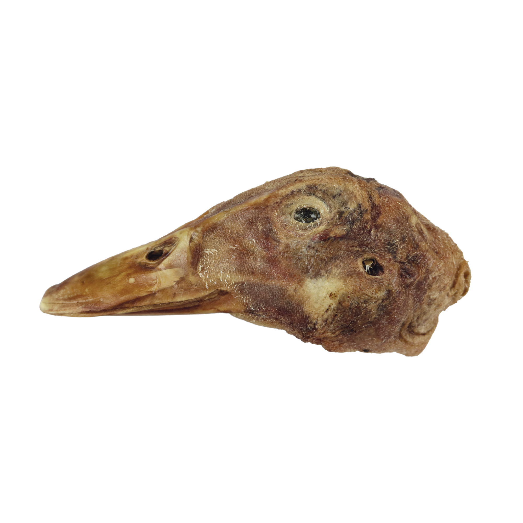 Vital Essentials Single Freeze-Dried Duck Head