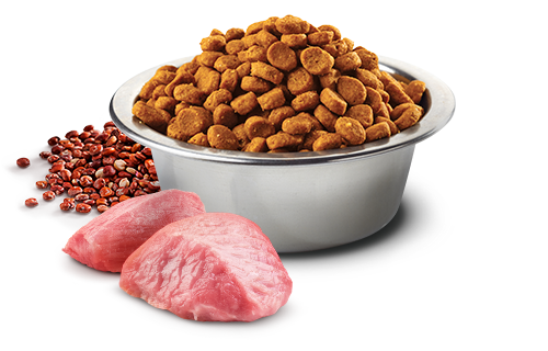 Farmina N&D Quinoa and Lamb Grain-Free Digestion Dog Food