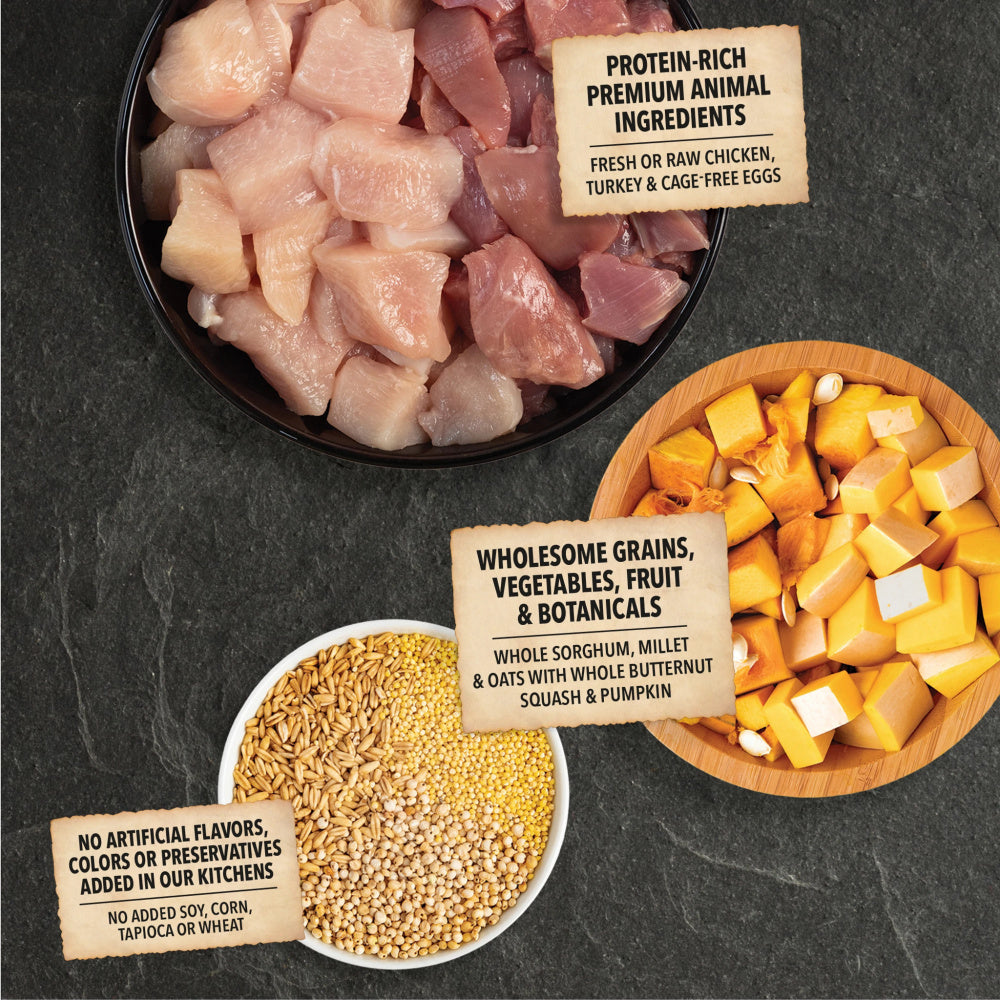ACANA + Wholesome Grains Free-Run Poultry Recipe Dry Dog Food