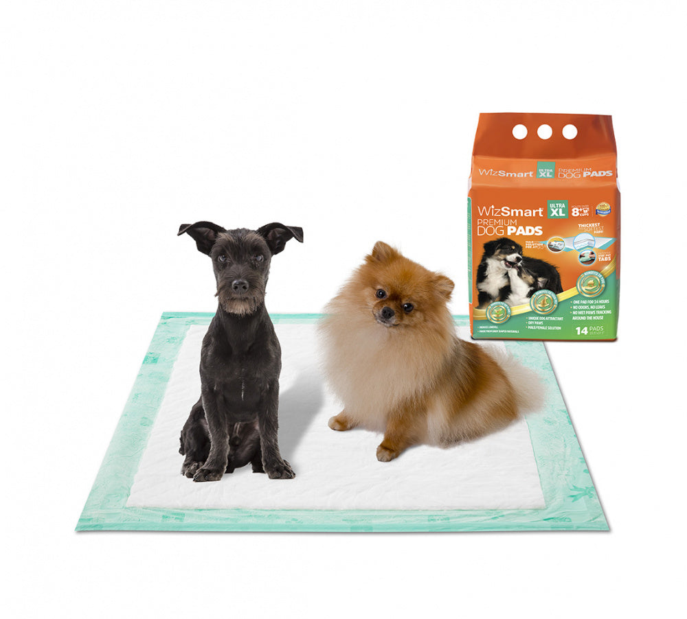 WizSmart Ultra XL All Day Dry Premium Dog Pads - Main Image