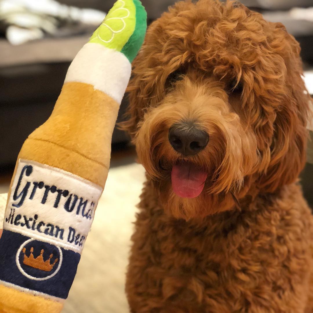 Grrrona Beer Bottle Dog Toy