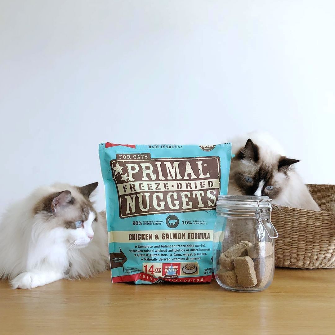 Primal Freeze-Dried Chicken & Salmon Formula 5.5OZ