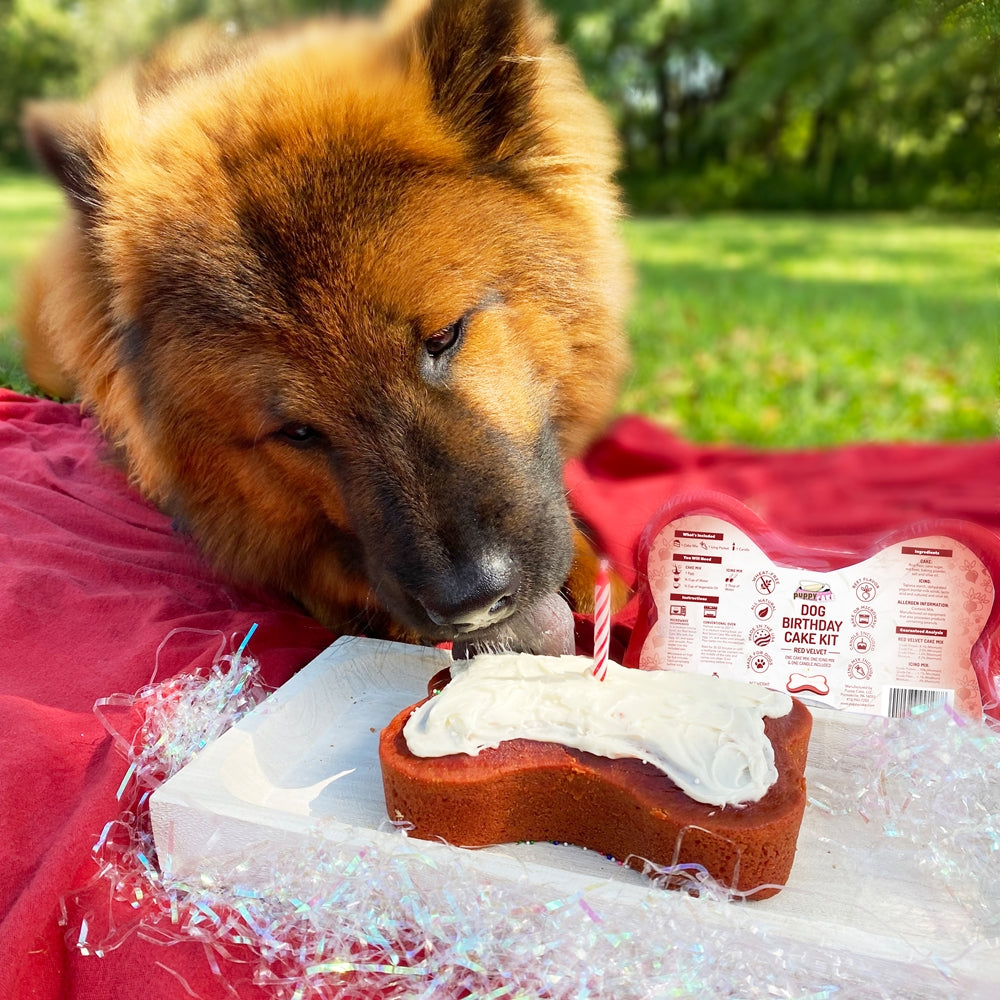 Puppy Cake Dog Birthday Cake Kit- Red Velvet Cake Mix, Icing Mix, and One Candle
