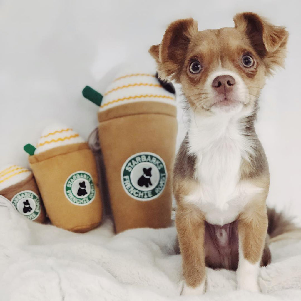 Starbarks Coffe w/ Straw Dog Toy