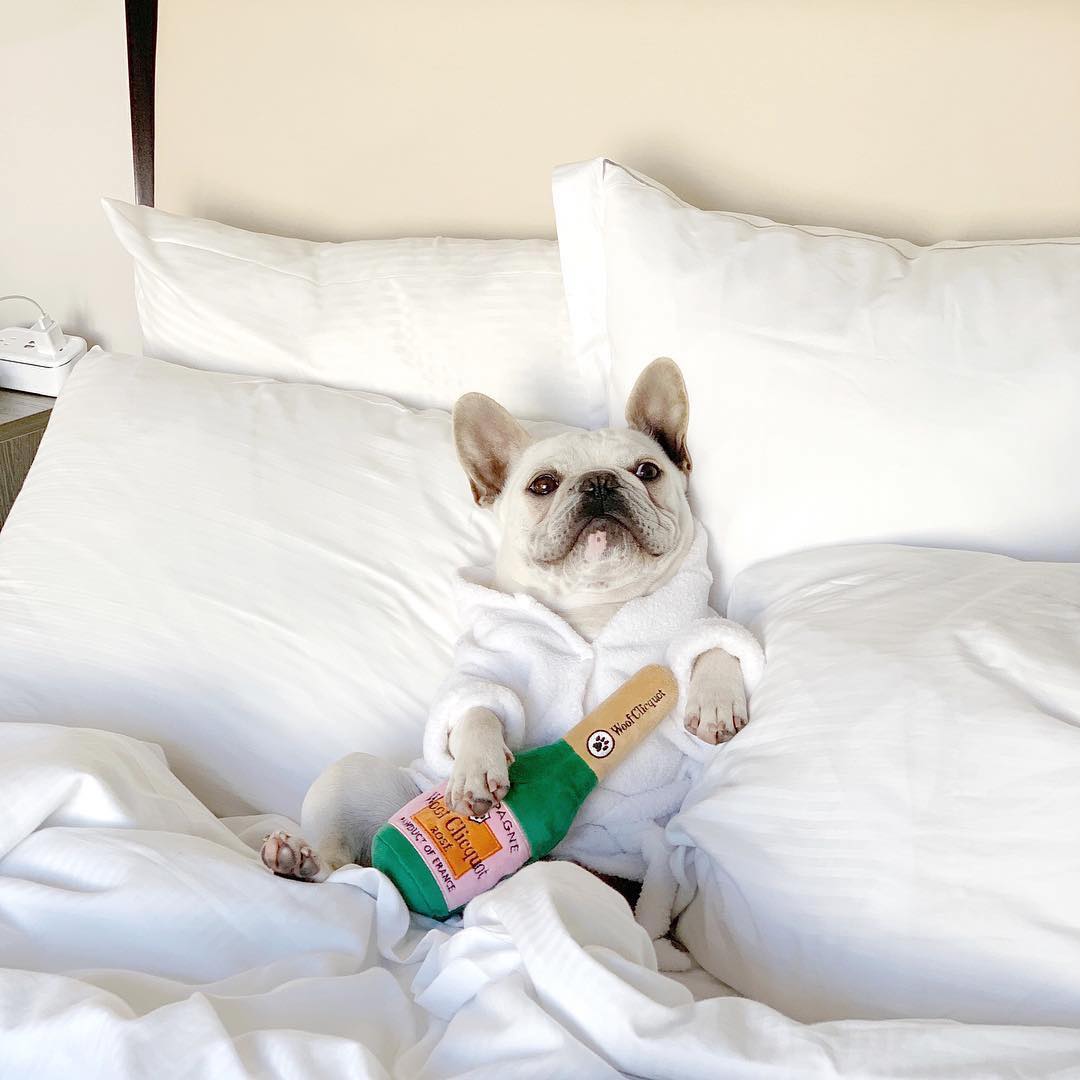 Dog Toy - Woof Clicquot Rose' Champagne Bottle Small Dog Toy - Woof Clicquot Rose' Champagne Bottle Small