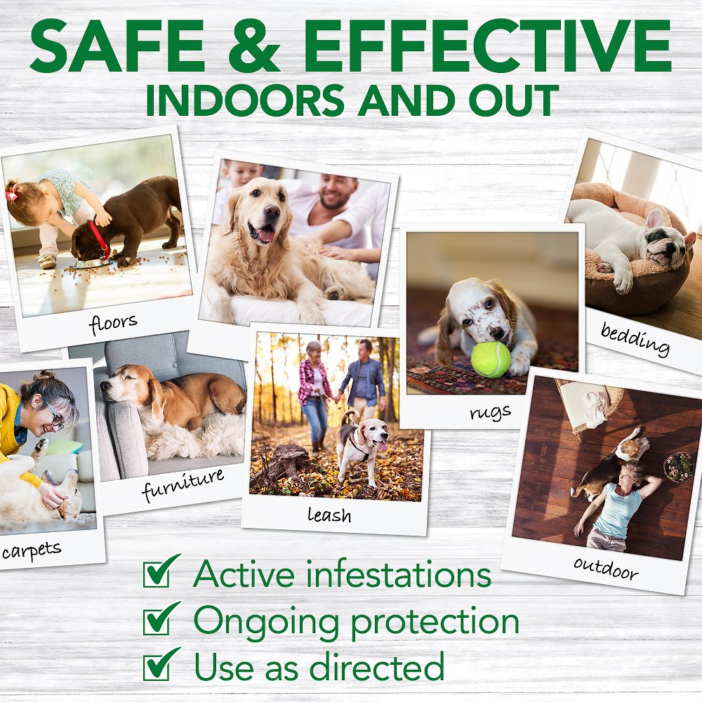 Vet's Best Indoor Flea & Tick Spray for Dogs & Cats