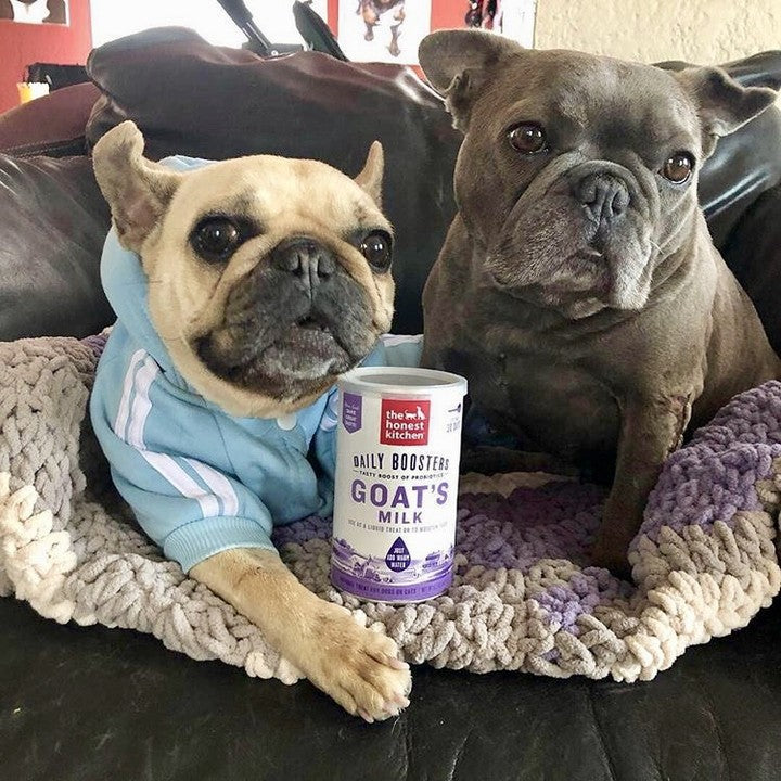The Honest Kitchen Daily Boosters Goat's Milk 5.2oz