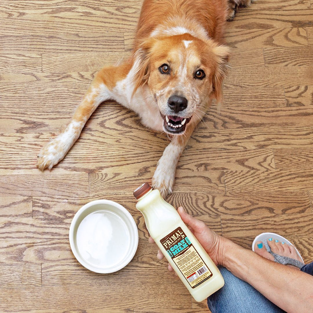 Primal Goat Milk