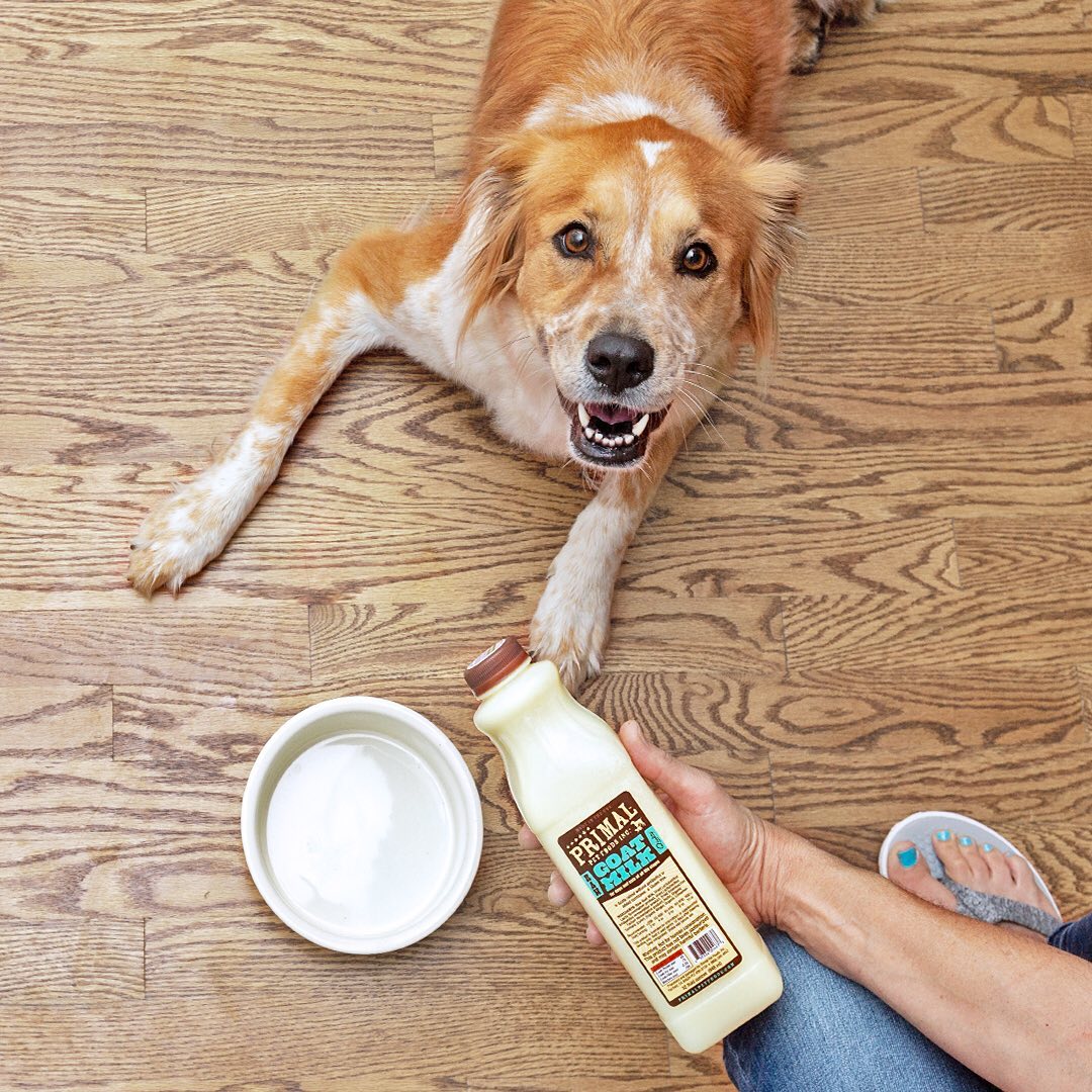 Primal Goat Milk