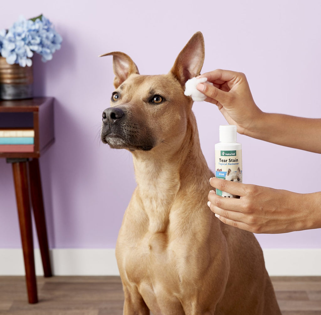 NaturVet Tear Stain Remover Dog & Cat Liquid Topical Formula