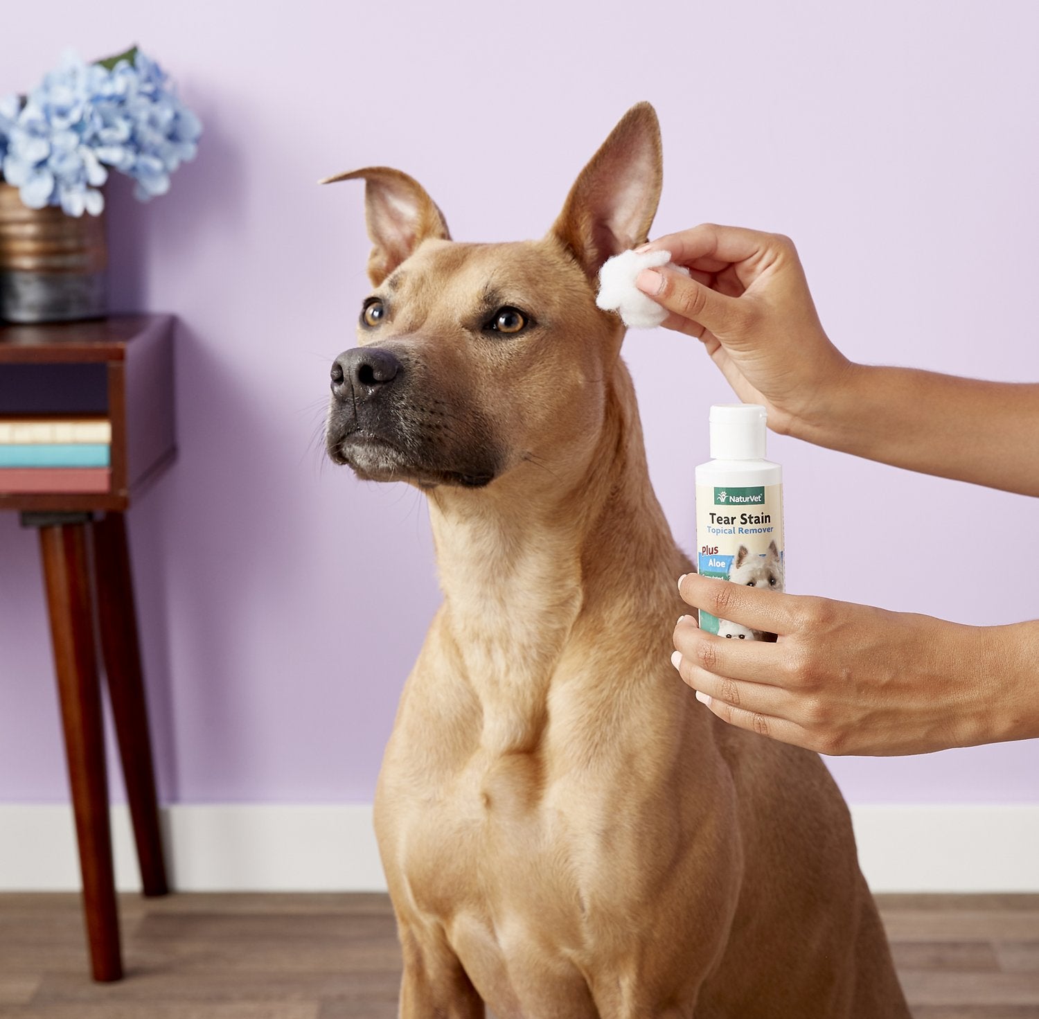 NaturVet Tear Stain Remover Dog & Cat Liquid Topical Formula