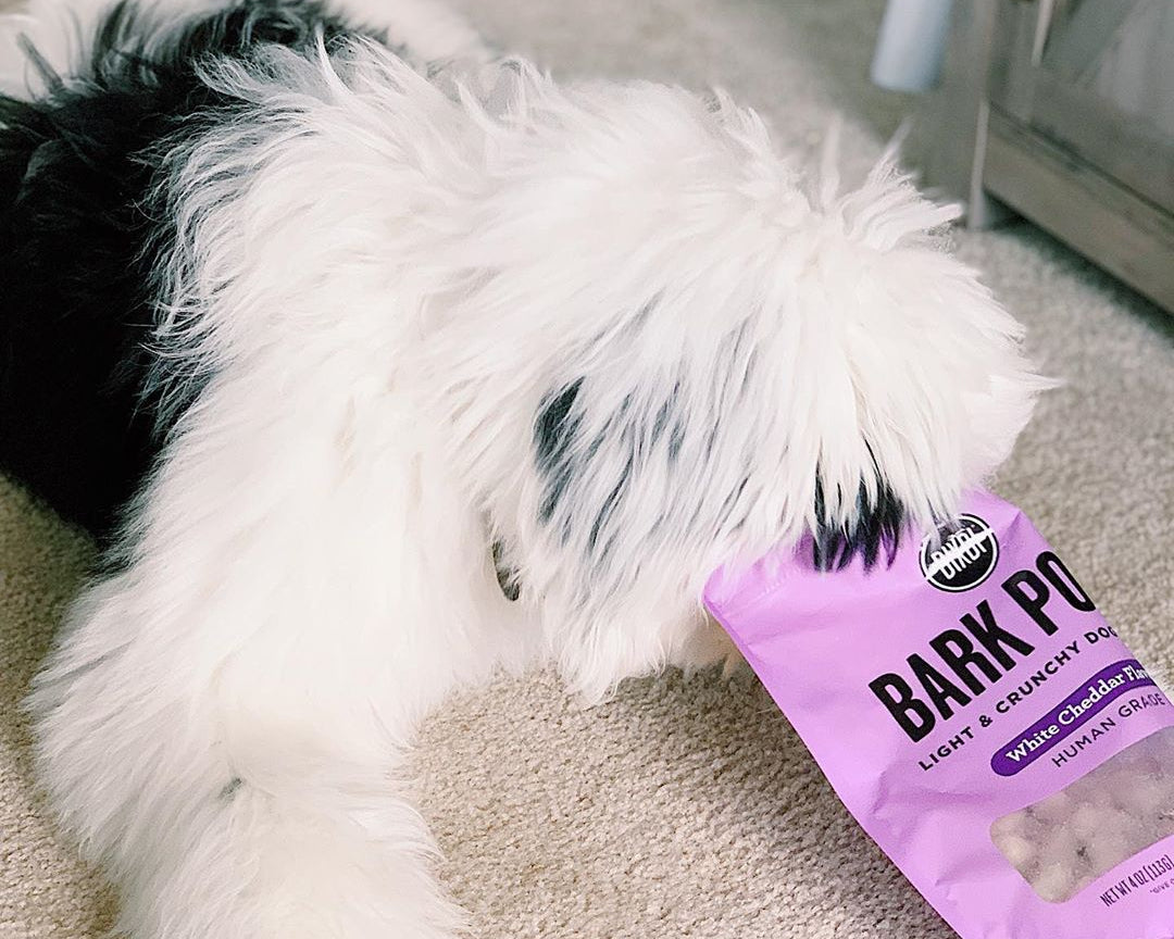 Bixbi Bark Pops White Cheddar Pet Empire and Supplies