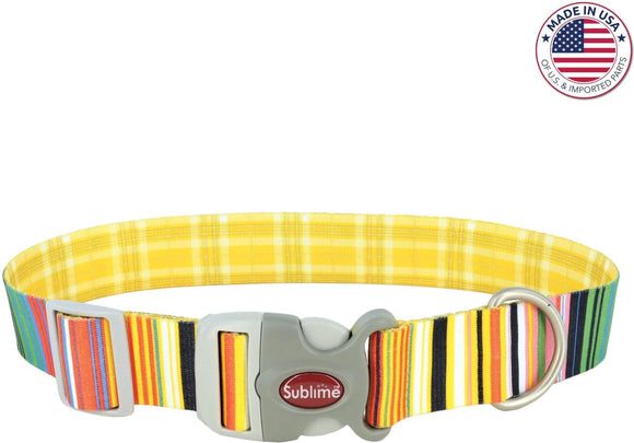 Coastal Sublime Adjustable Dog Collar - Sublime Stripe with Gold Plaid