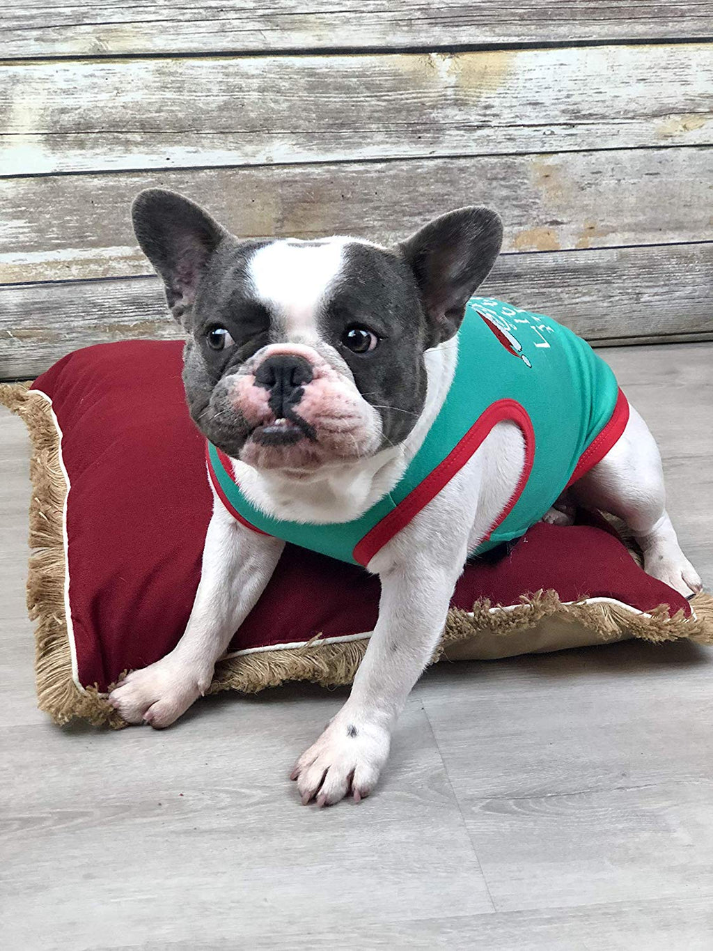 Parisian Pet Santa's Little Helper T-shirt