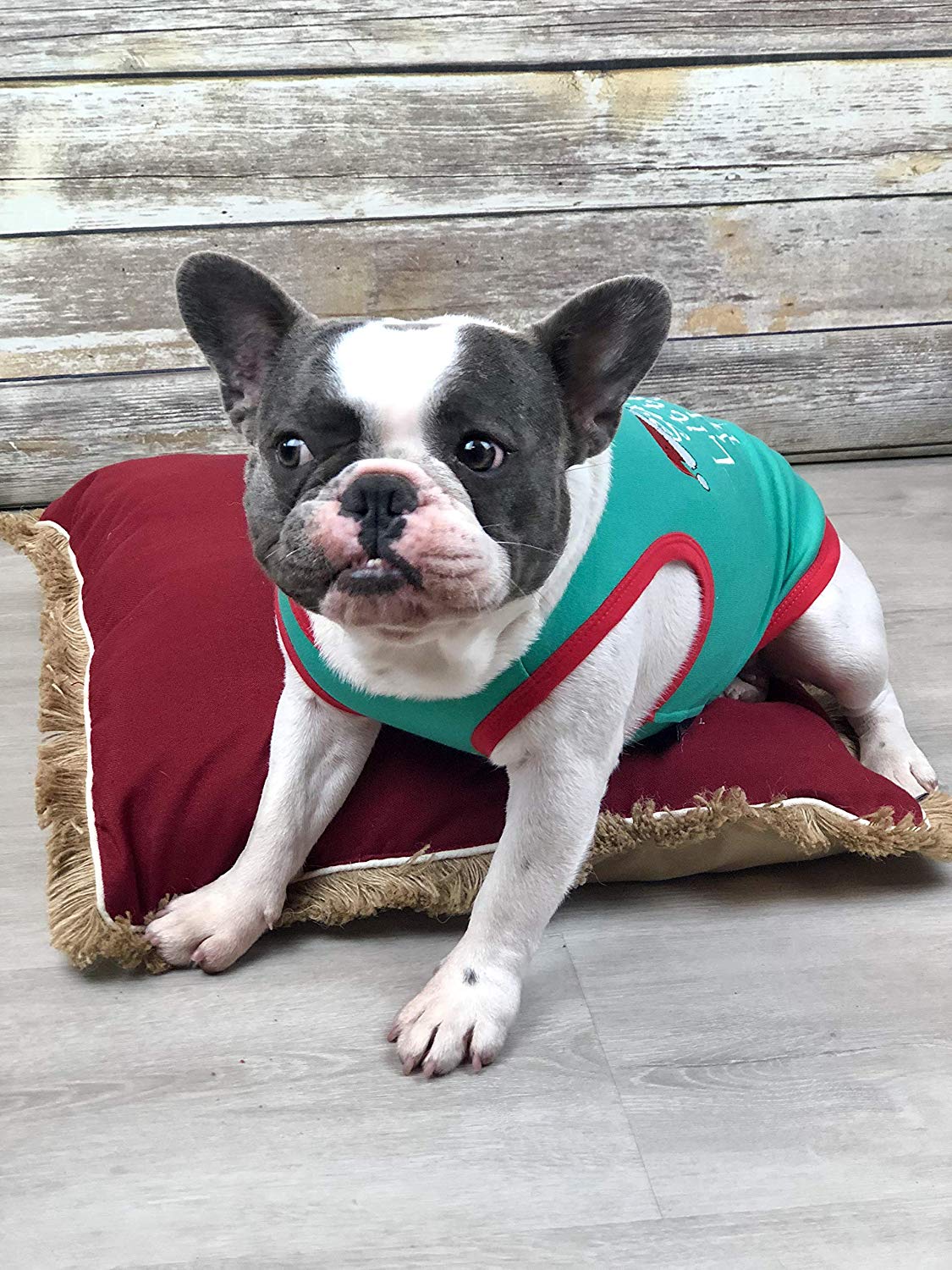 Parisian Pet Santa's Little Helper T-shirt