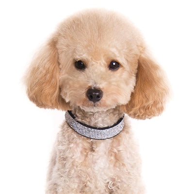 VIP Bling Dog Collar by Dogo - Black
