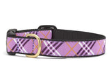 UpCountry - Lavender Lattice Dog Collar