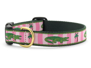 UpCountry - Alligator Dog Collar