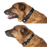 Wolfgang NightOwl Adjustable Dog Collar or Leash