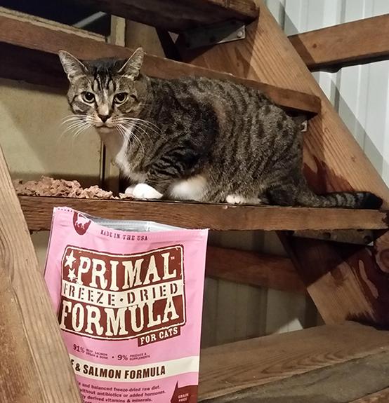 Primal Freeze-Dried Beef & Salmon Formula 5.5oz