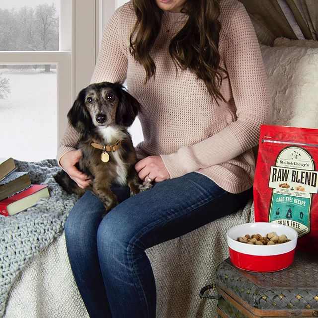 Stella&Chewy's Raw Blend Cage-Free Recipe