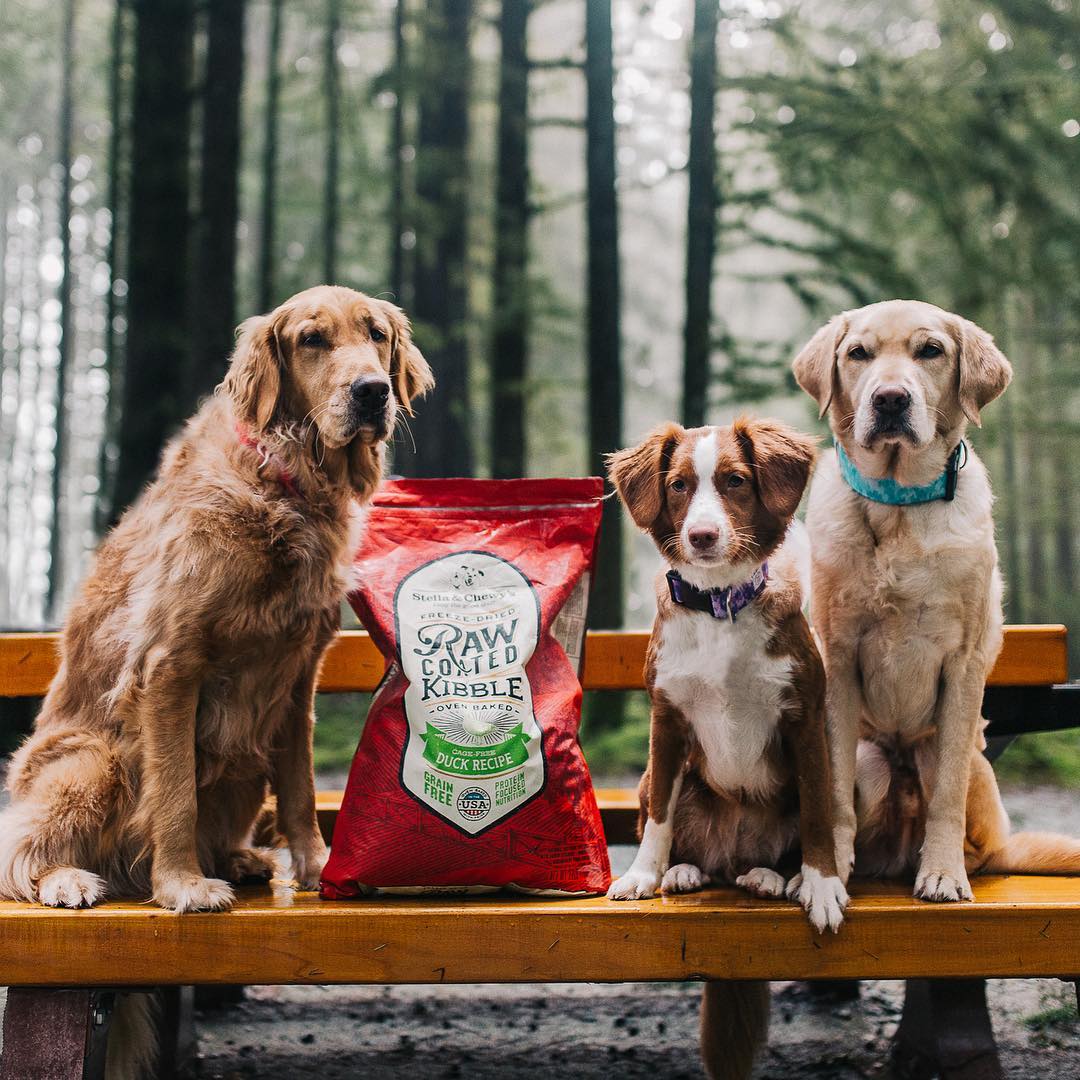 Stella&Chewy's Raw Coated Cage-Free Duck Recipe