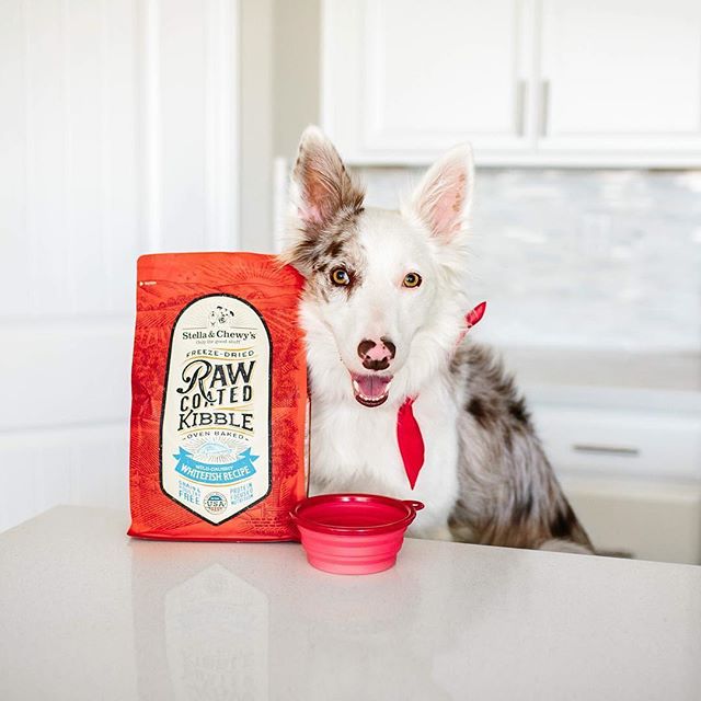 Stella&Chewy's Raw Coated Wild-Caught Whitefish Recipe 3.5lb