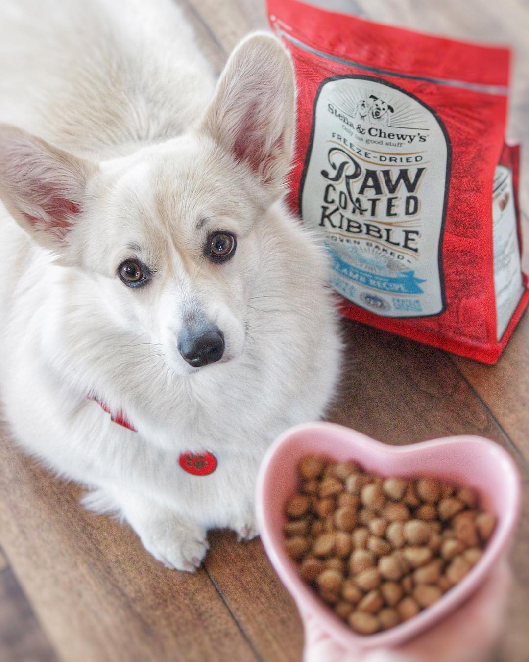 Stella&Chewy's Raw Coated Lamb Recipe 3.5lb