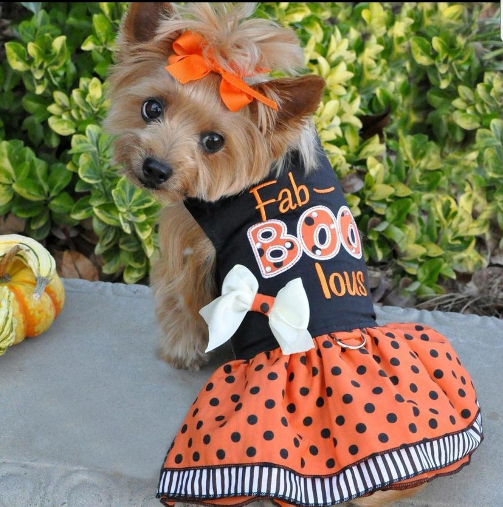 Fall Faboolous Dress