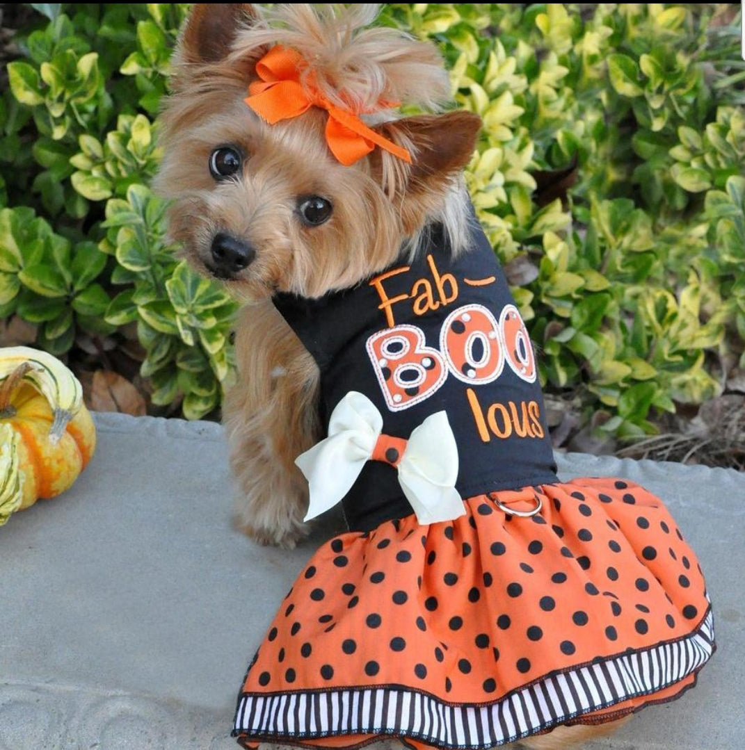 Halloween Dog Harness Dress - Fab-BOO-lous Small Halloween Dog Harness Dress - Fab-BOO-lous Small
